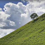 benefits of hill training