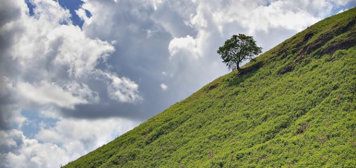 benefits of hill training